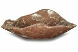Polished Fossiliferous Red Stone Vessel Sink - Morocco #257272-2